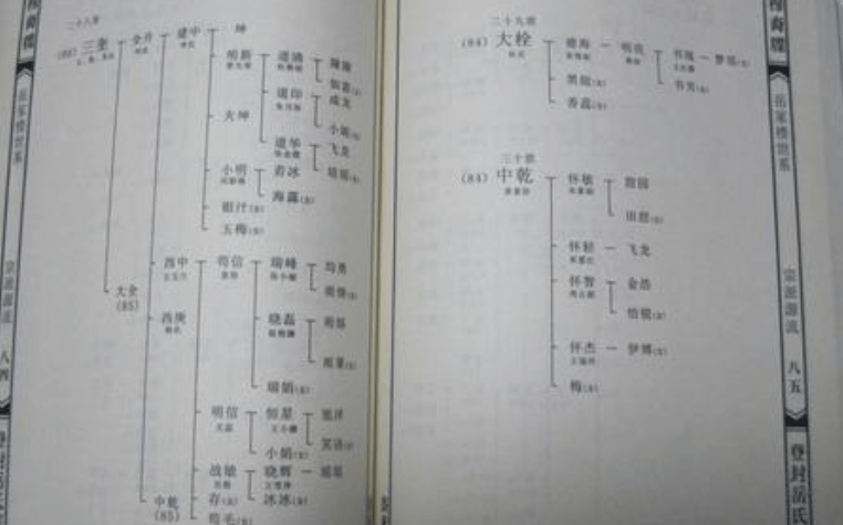 94a0588e68a44b49be2957e807066267.png