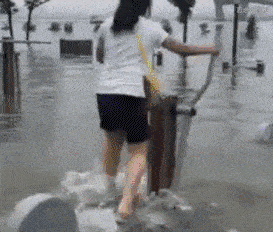 手机搜狐网