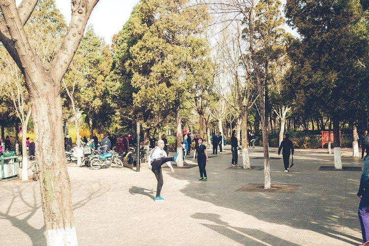 唐山“超人气”公园走红，位居市中心，被誉为“园林瑰宝”