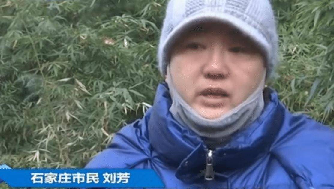 我老爸是董事长_我是大哥大三桥老爸(2)