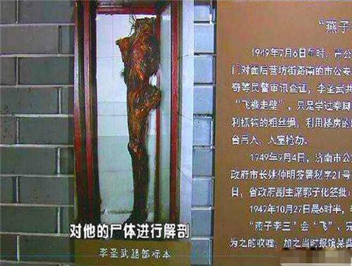 从标本上看,李圣武大腿的肌肉比常人有着更多的肉线,且肌肉的块状也比