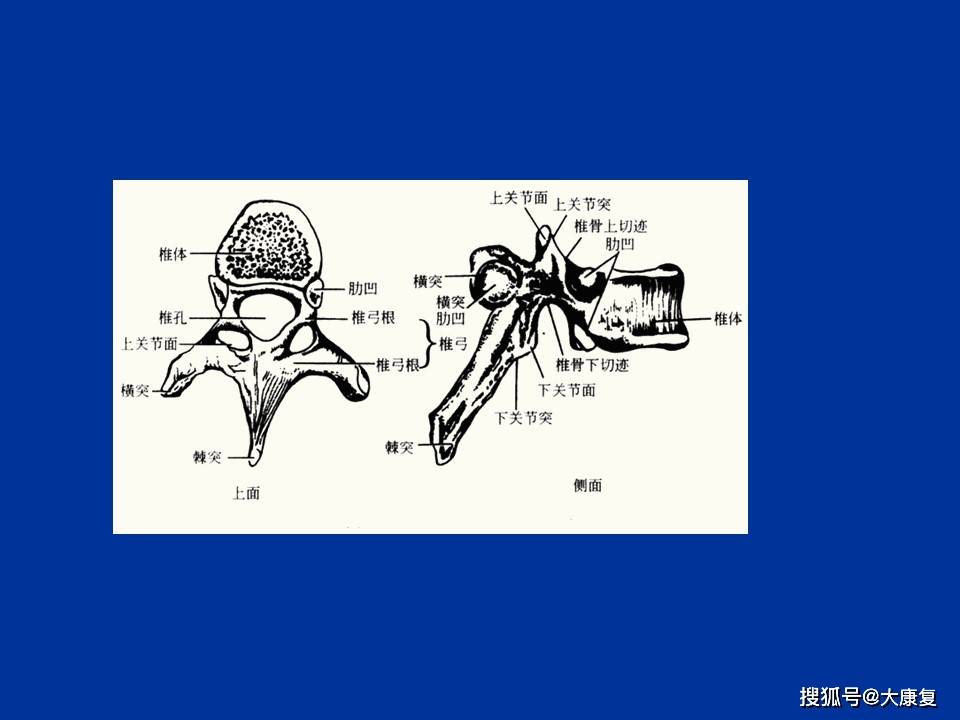 d448120133de45a2a36084afcde255e3.jpeg