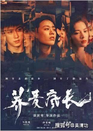 2020年度盘点之电影：成龙新片意外登顶，黄渤成