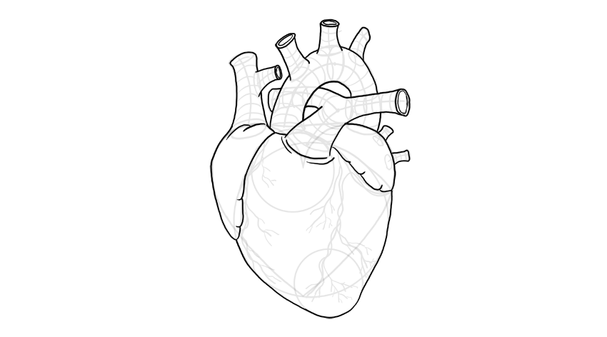 心脏怎么画?教你画出3d写实的心脏画法技巧!