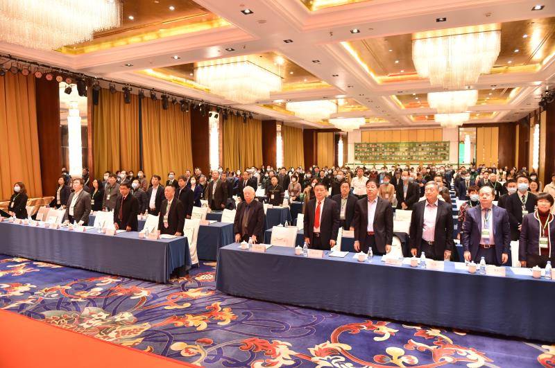 医科大学2020排名医_医信天下2020中国医院影响力排行榜在京发布