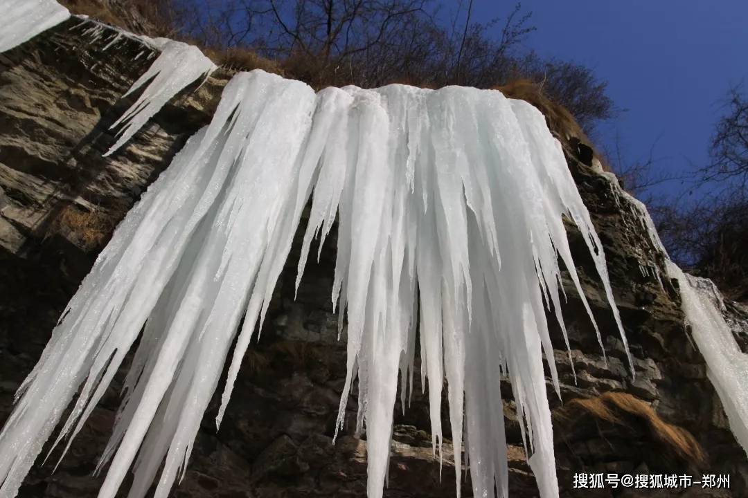 太行“雪松”已荣耀现世，冬季绝景正在太行大峡谷上演！