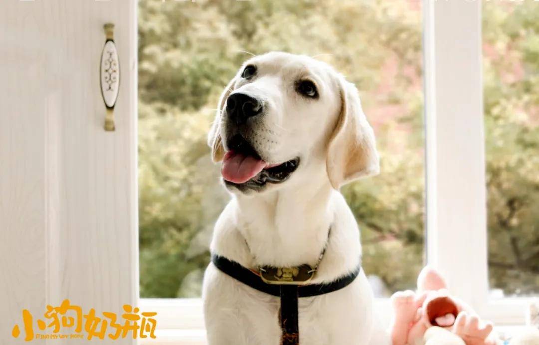 发疯的前兆有哪些 6ec54d74f36a498c98d3744ee1c5c80e.jpeg