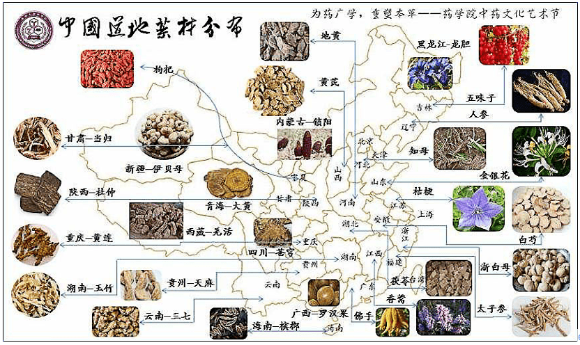 成都中医药大学裴瑾洞察中药材的变与不变推动道地药材产业发展