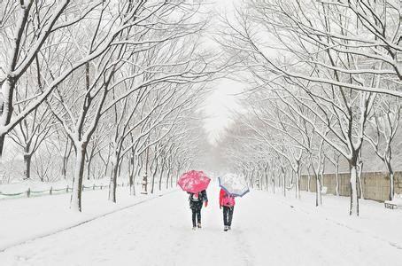 下雪天户外跑步