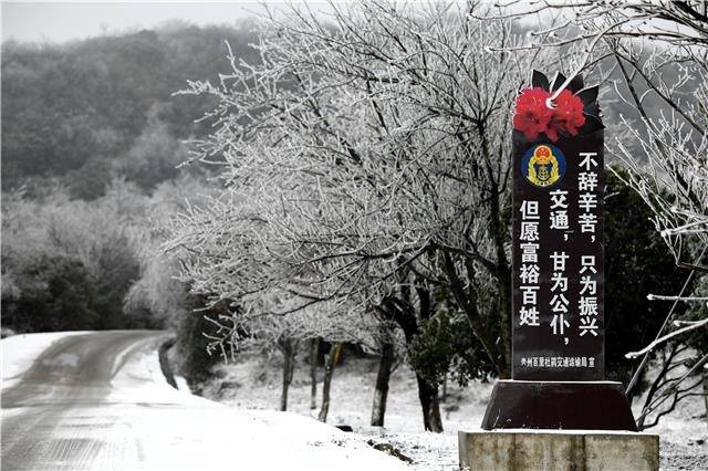 百里杜鹃，一下雪就美成仙境