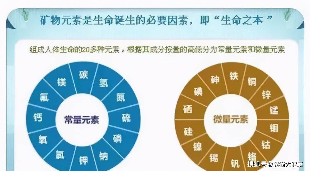 啥是中微量元素 9dea37007ea04decb84847b51ef23de4.jpeg