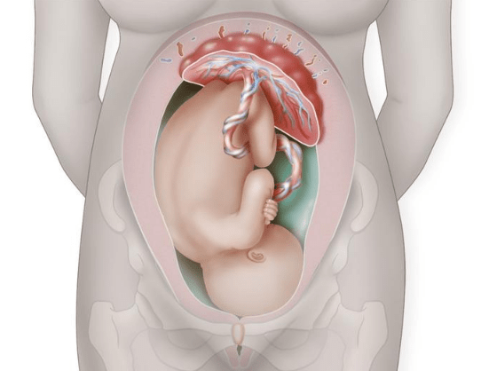 孕晚期孕妇6种感受明显,说明胎儿已经顺利入盆,附胎儿
