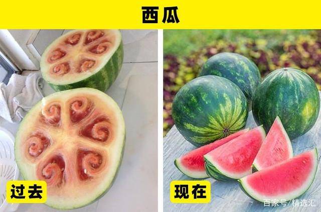 5542a3484c484b0b9ddb60acf4a2e619.jpeg