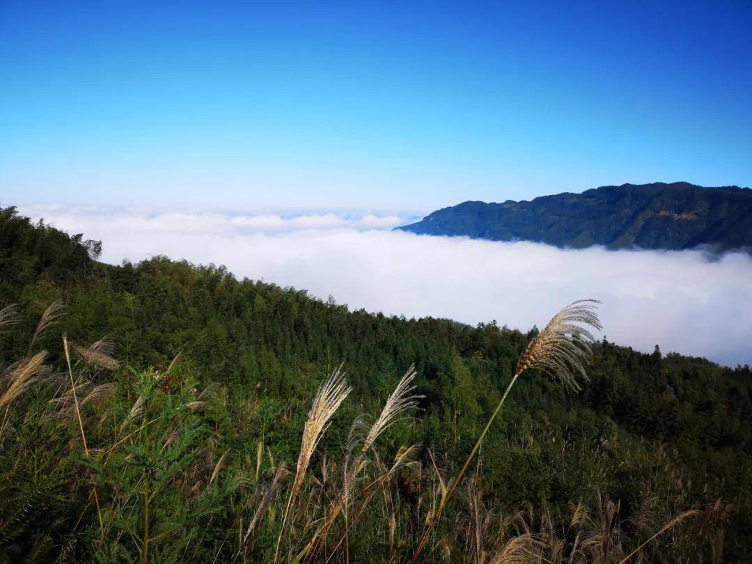 【创建天府旅游名县】四川兴文这个地方好不惬意！