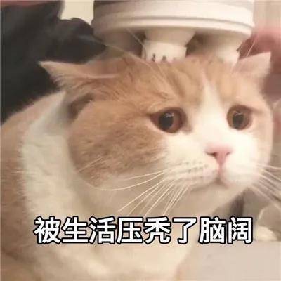 什么样才算熬夜 81704121306445868b31ba0628488c0d.jpeg