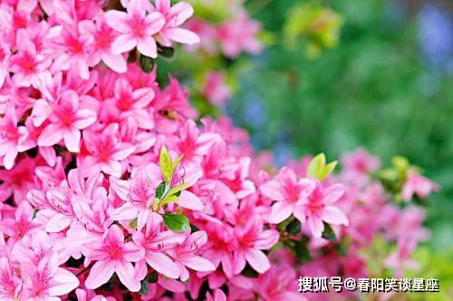 家有这六天出生的人,有的是富贵日子可享,注定事业能收获成功