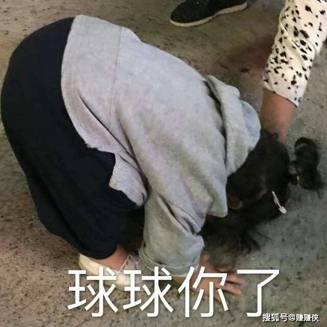 可爱表情包图片做人也要点脸