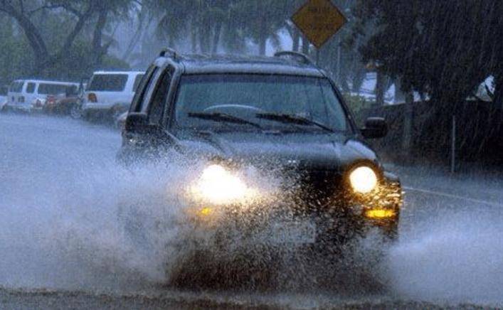 老司机开车必备物件 025c358ccee44b9d92699a3756cff186.jpeg