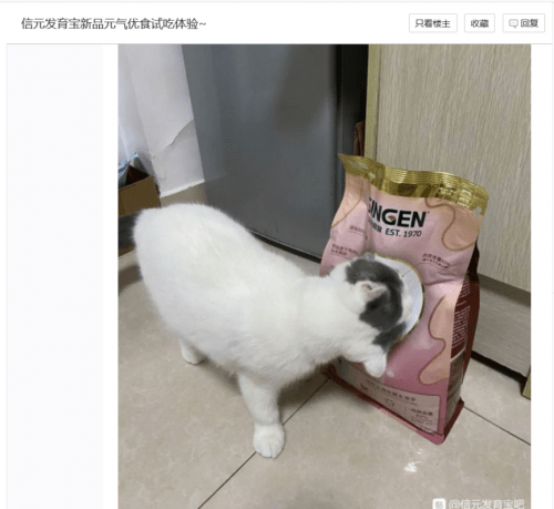 ad7c6949fb26460fa0eaeff0716cc0ac.png