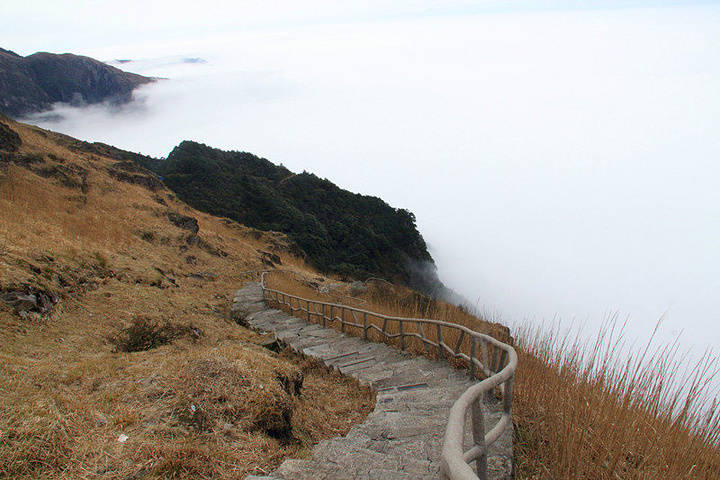 武功2020gdp_武功秘籍图片