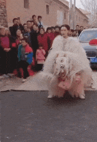 图片[3]-GIF搞笑段子：这个新娘子可以的，还是自己舞狮子最喜庆！-妖次元