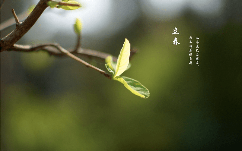 雨什么春什么成语_成语故事简笔画(2)