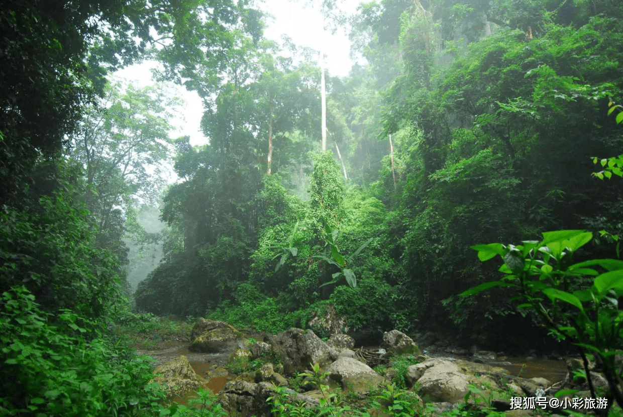 西双版纳2天必去景点，西双版纳2天攻略