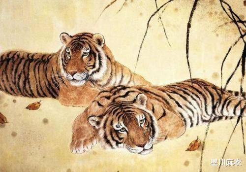 生肖虎元旦起，“寅丑暗合”财运方面迎接喜运，你的努力可以让自己收益