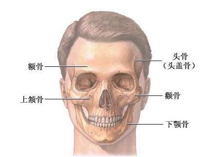 拔智齿能瘦脸智齿想太多