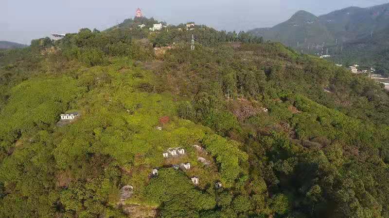 附近村民为何要在公园内建墓地,针对此问题,记者来到最近的石新村进行