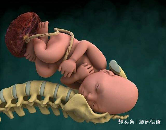 怀孕38周,还能坐车回老家过年吗?看看4个分析就可以决定了_胎儿
