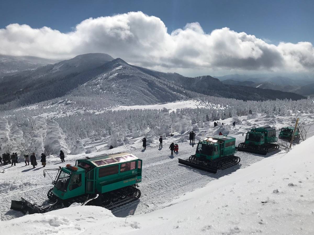 宫城县藏王澄川滑雪场开启树冰奇观观赏活动1月下旬到2月上旬系最佳