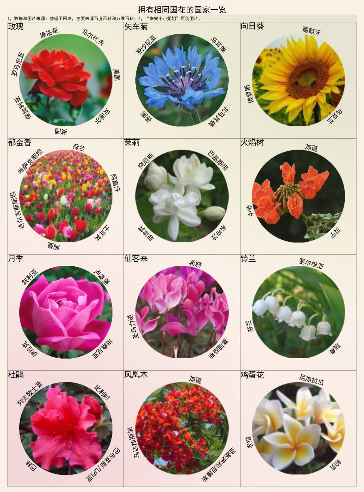 各国国花一览如果要在牡丹和梅花中选你选哪个做国花