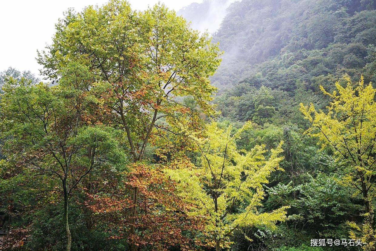 爱游戏APP:
一念是福一念是祸(图1) 爱游戏APP:
一念是福一念是祸(图1)