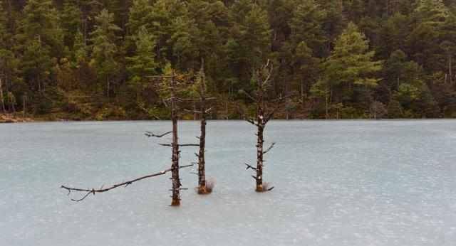 玉龙雪山简介合集 f6fb8858c9be4121a6de7416cc2016a1.jpeg