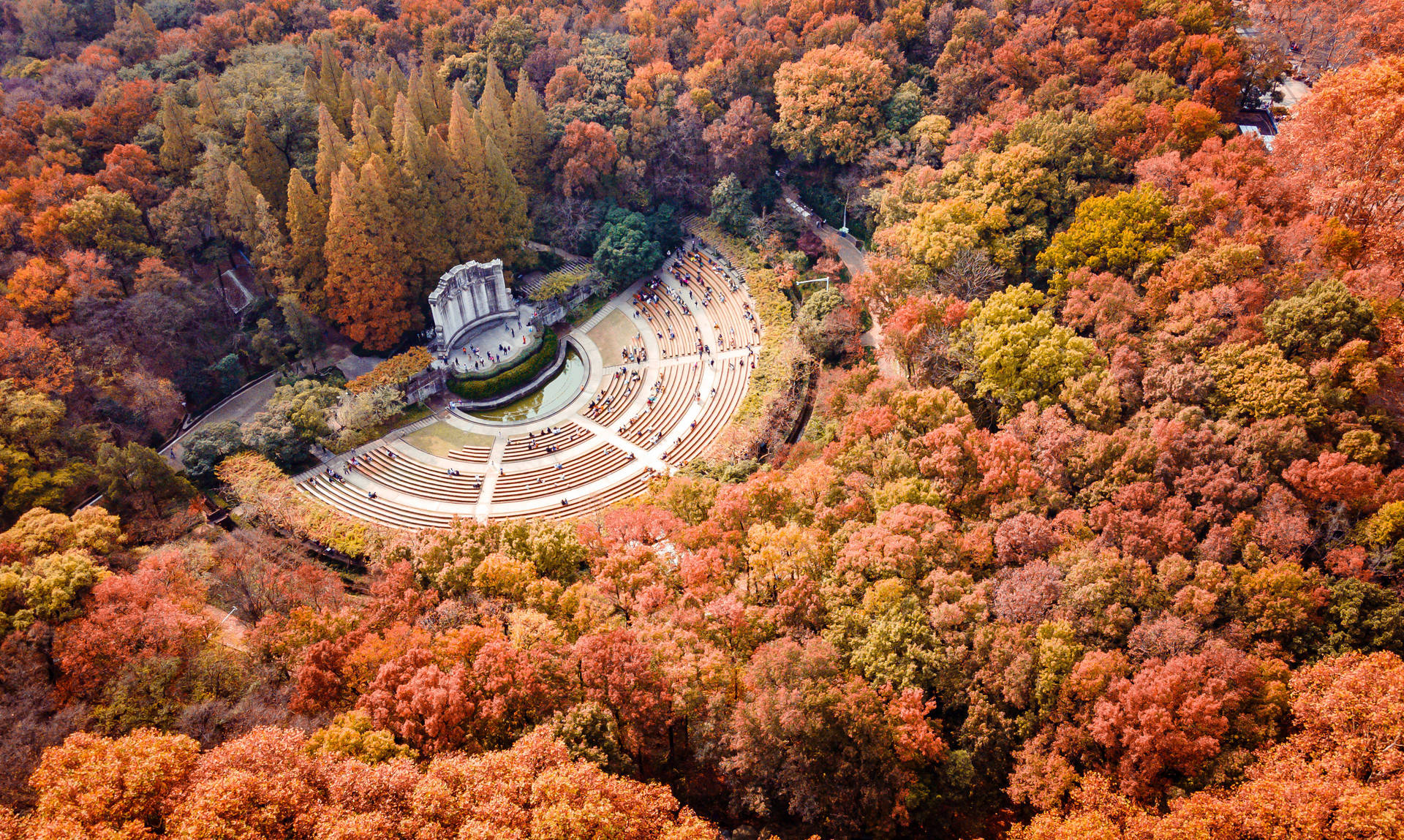 4,冬天去汤山泡温泉,感受千年圣汤,养生天堂 5,在中山陵音乐台喂鸽子