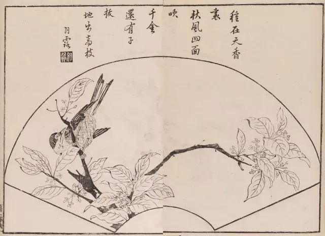 陶阳画扇面曲谱_画扇面陶阳(3)