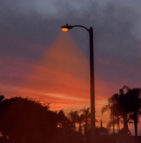 d537080e5b4d4e1cb855026e5d1813da.png