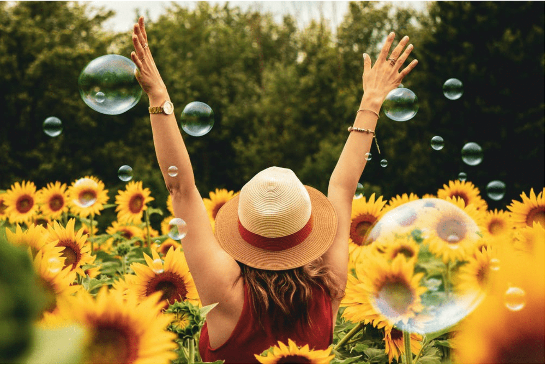 如何拥有好的心灵 dc03f383b2eb4d6fab94f1ed7be55893.png