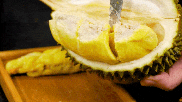 40c3abc4b70640dcb43da40800fd0822.gif