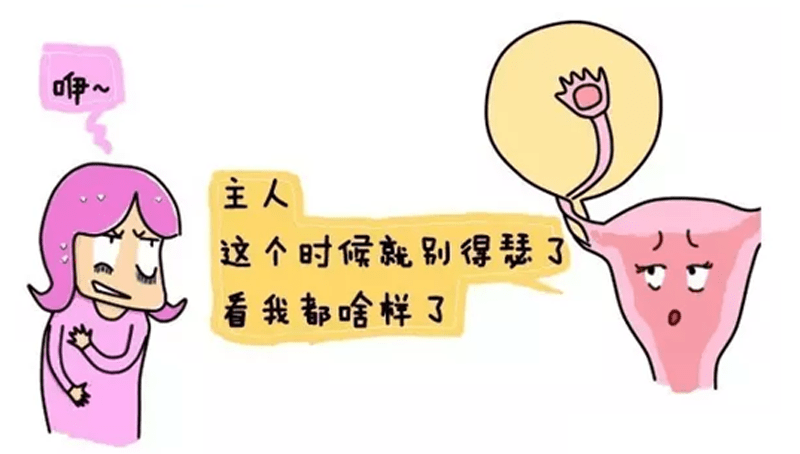 8f5c8d1350944484a79043f55ef4deee.png