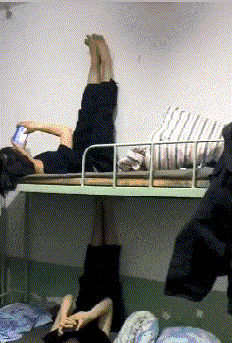 搞笑gif段子:毛衣就是毛衣,粘的一身毛,厂家你告诉我