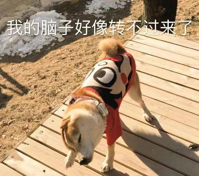 6e0b5a6e6d814b0e89465003bfa5ed07.jpeg