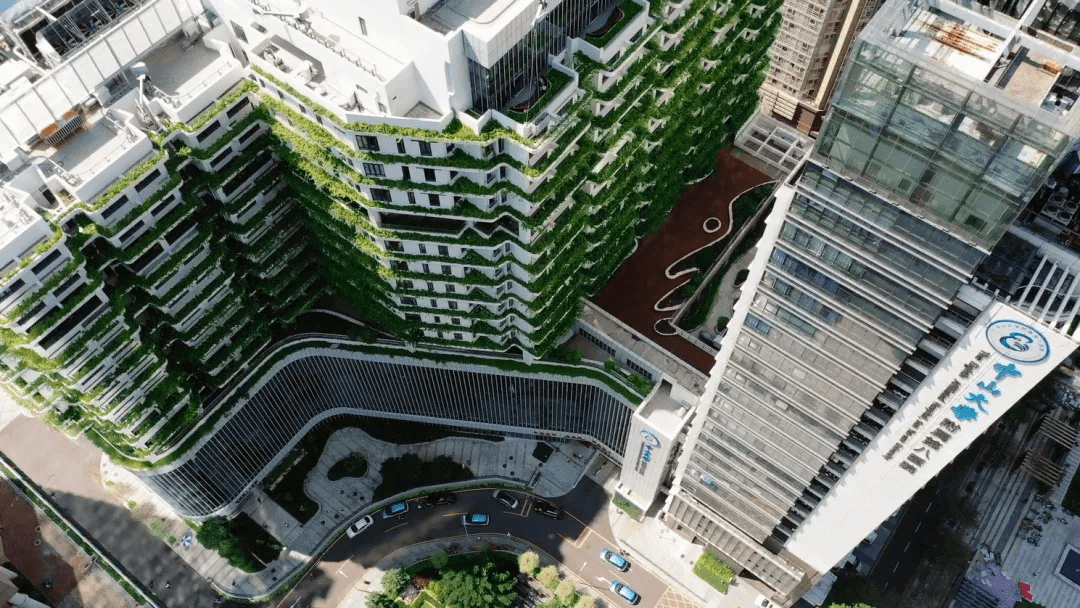 2020福田GDP_福田轻卡3.3米货车