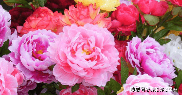 7f2d5335b9f742ef838a068c3715ce50.png