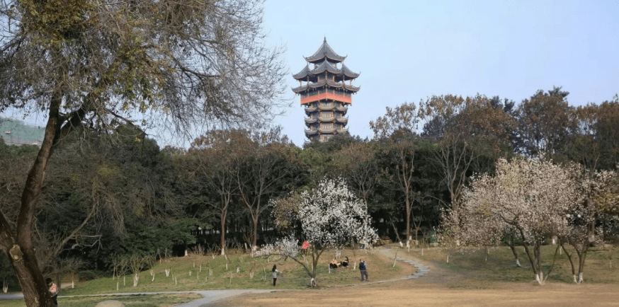 锦江区人口_成都市锦江区第七次全国人口普查领导小组办公室