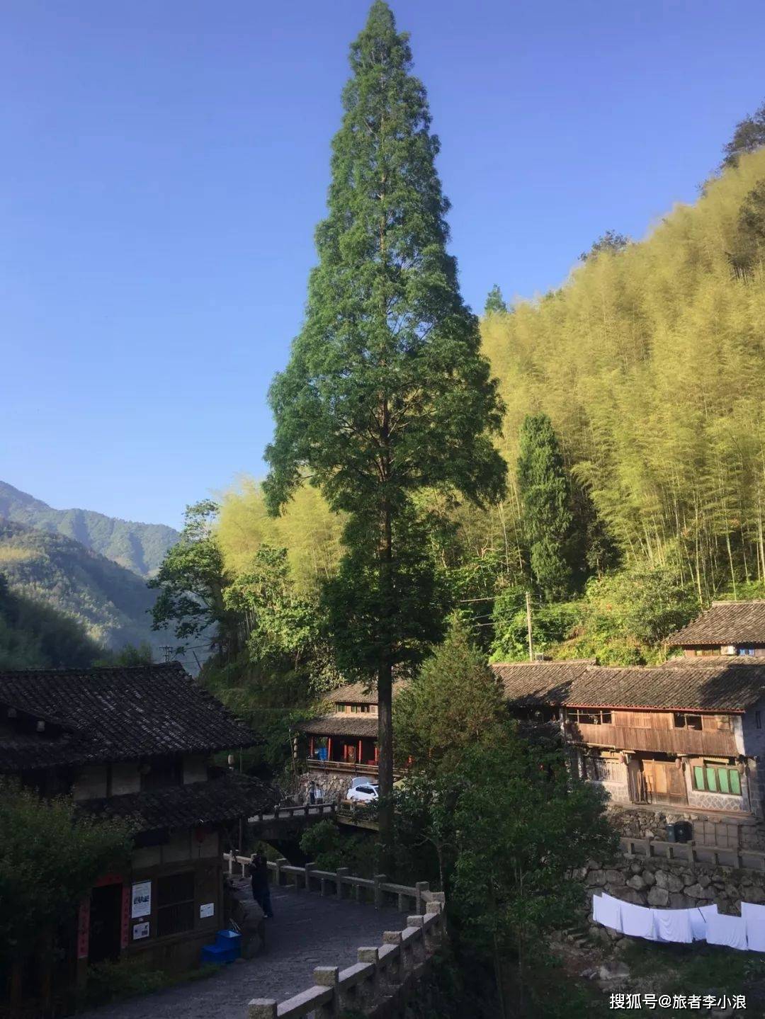 「景区|温州永嘉两日游」浙南天柱——石桅岩_林坑