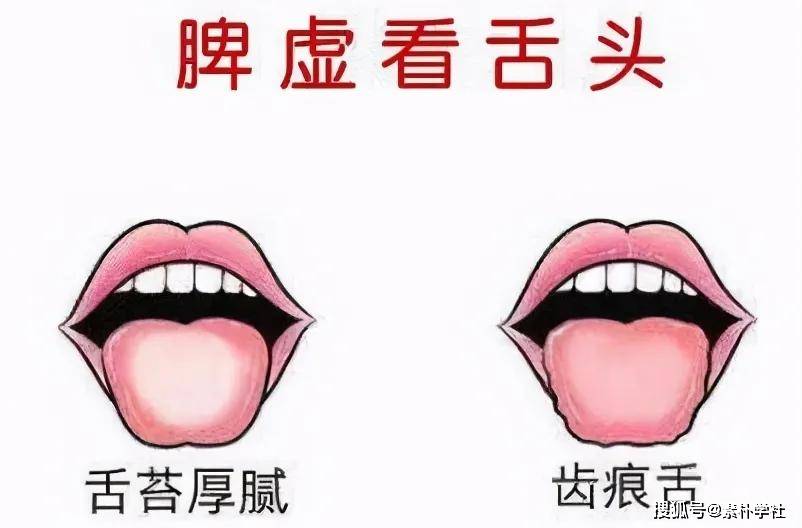 脾虚是疾病的开始!十人九虚,原因在此