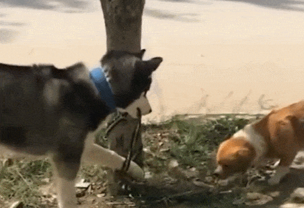 2c304107d1d642978324ee68cb4779aa.gif