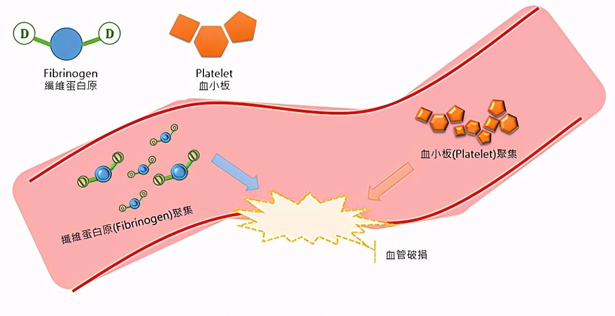 肛肠术前检查有必要吗?